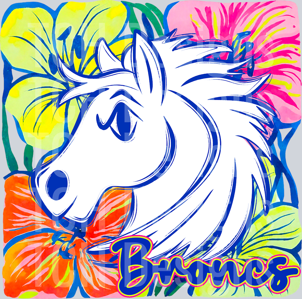 Broncs