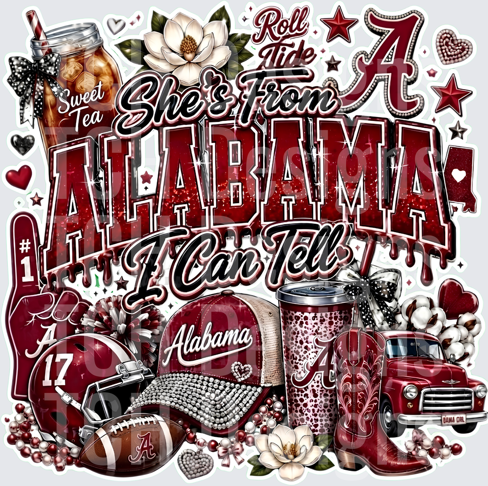 AlabamaVer4