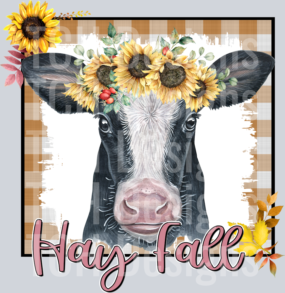 hay fall4