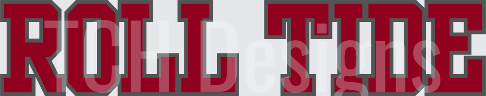 UPDATED TRANSPARENT SLEEVE-11