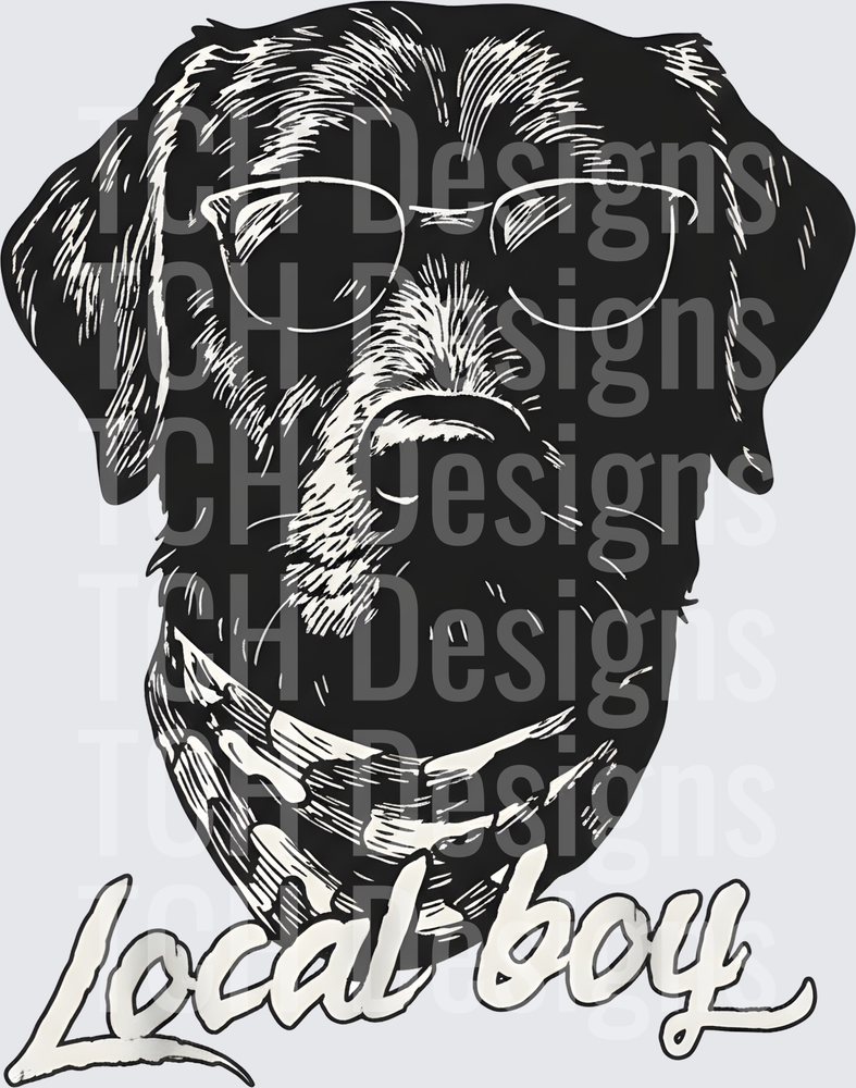 Black Lab Wearing Sunglasses Local Boy Script Design
