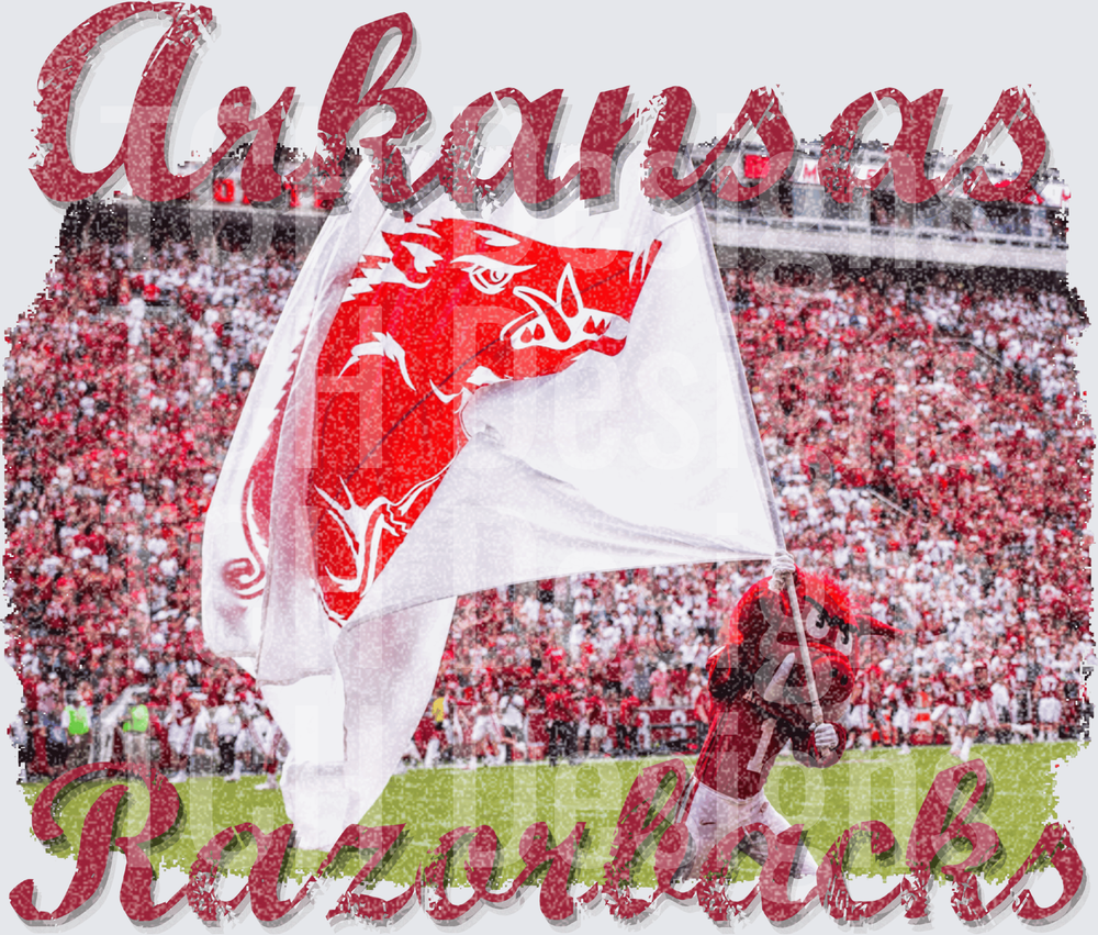 RAZORBACKS