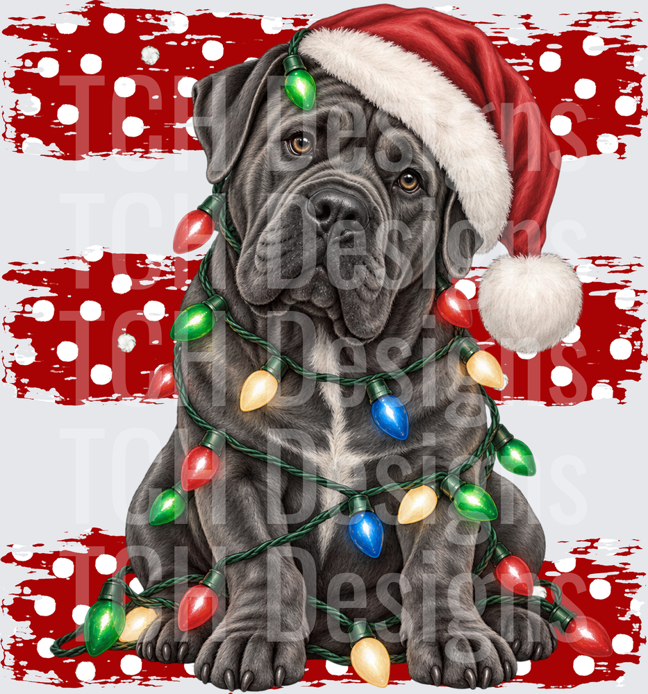cane corso christmas lines