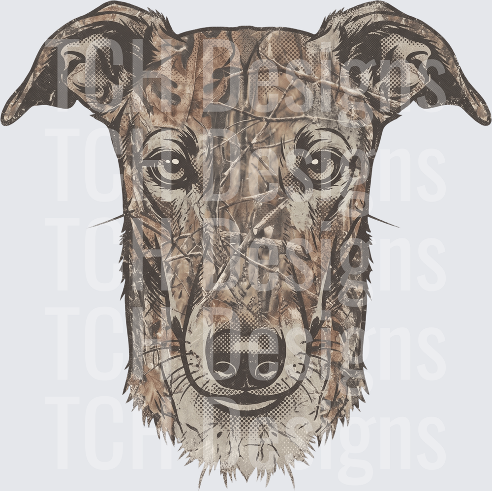GREYHOUND