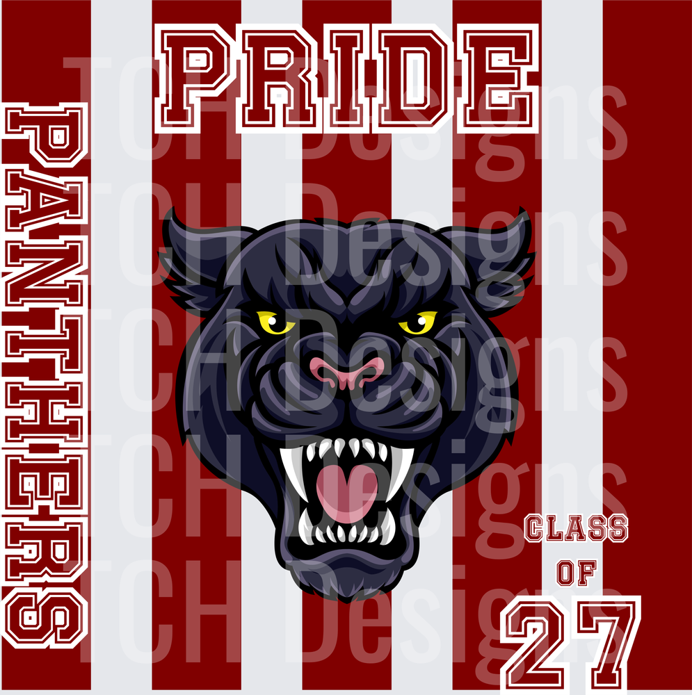 Panthers Pride Class of 27 Fierce Black Panther Mascot