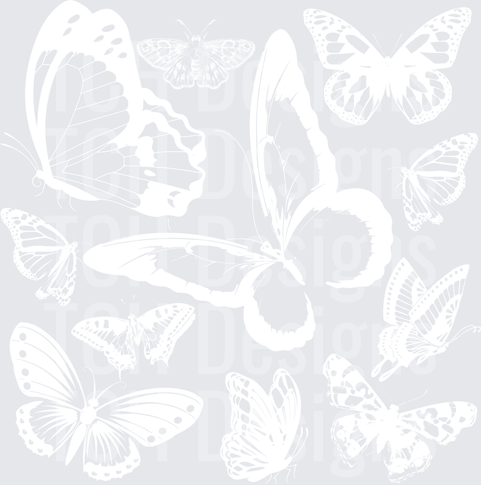 BUTTERFLY COLLAGE