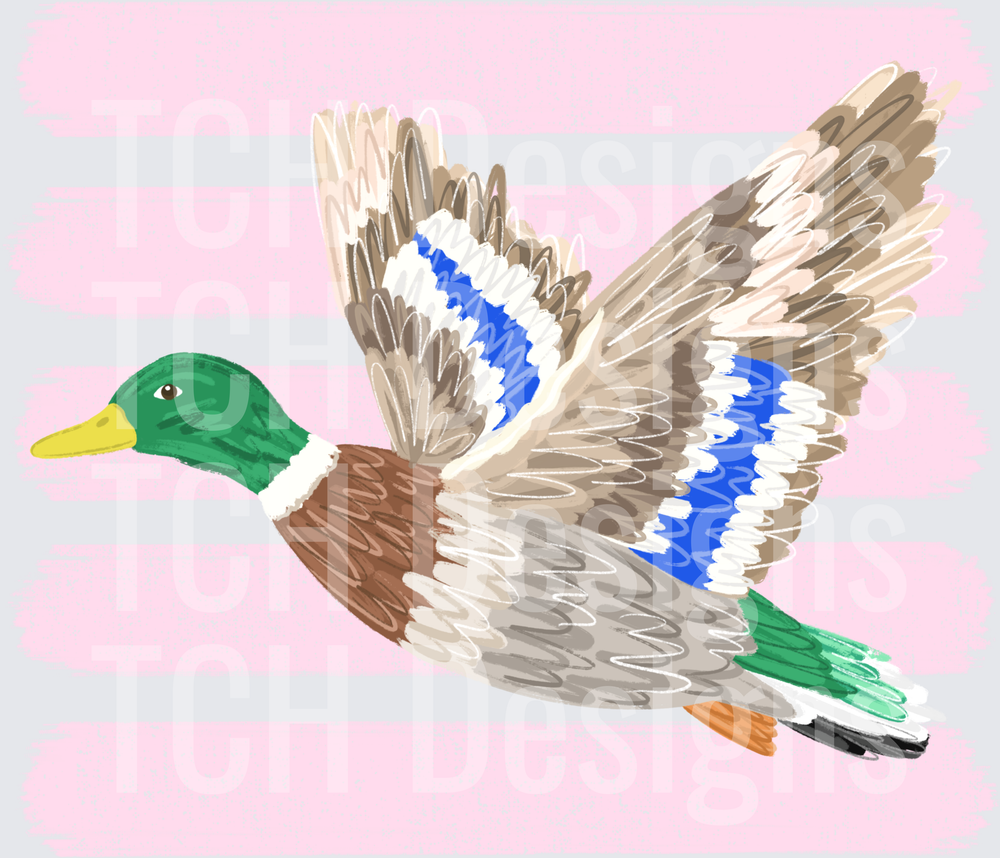 Ducknostars