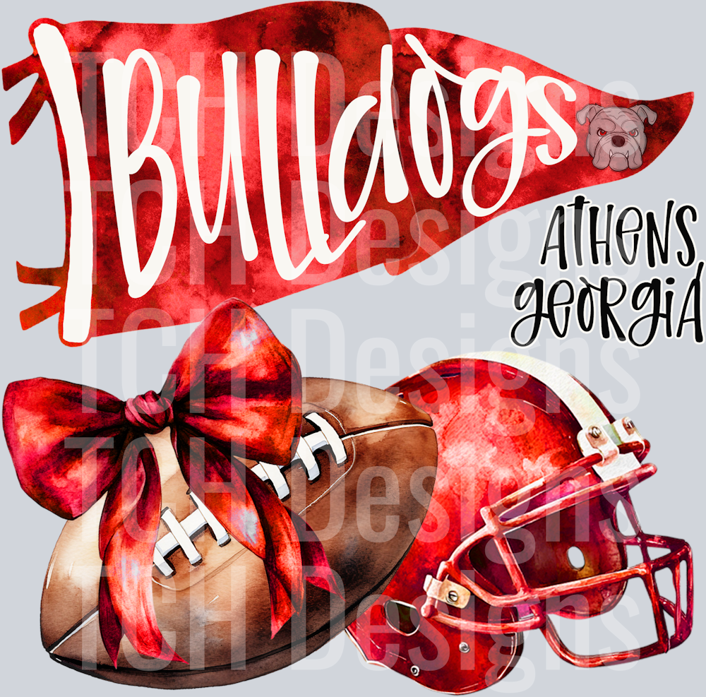 Georgia Bulldogs (1)
