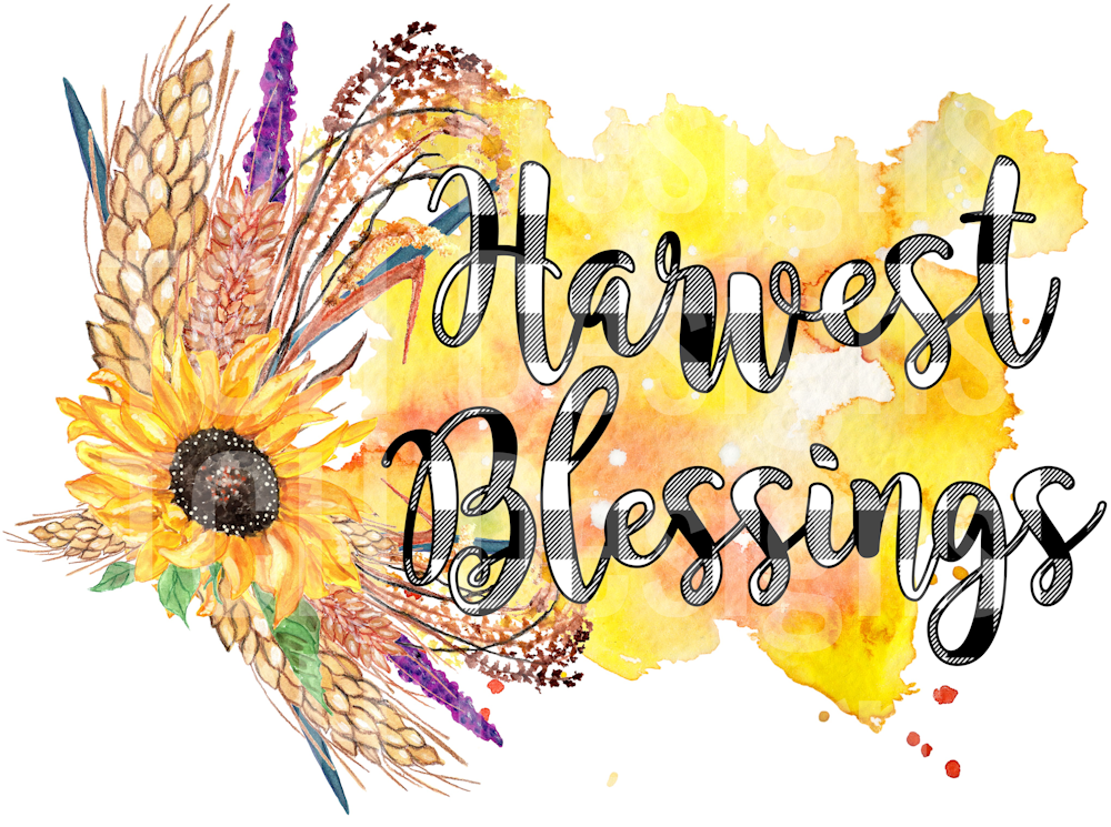 harvest blessings yello splash bugg check