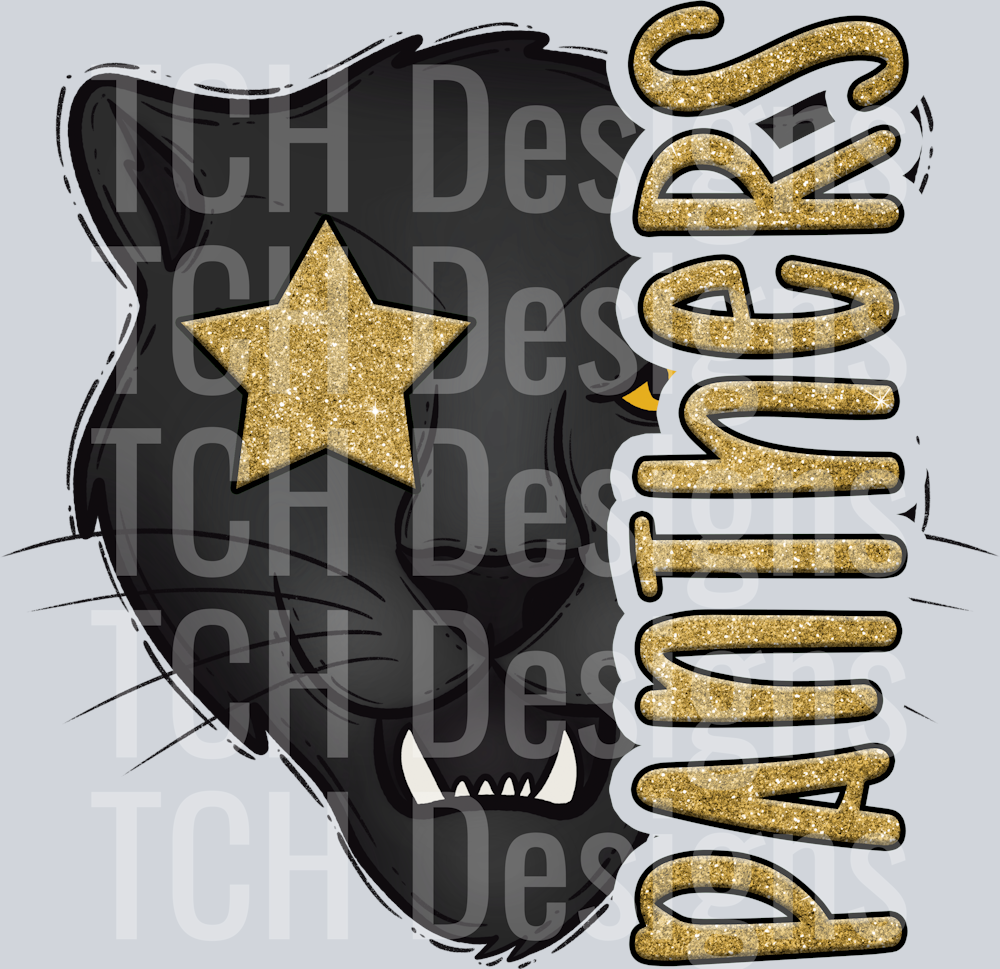 Panthers 99