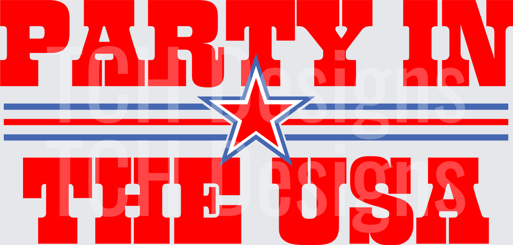 PARTY IN THE USA