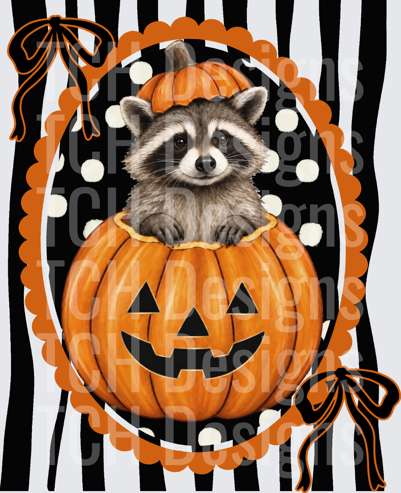 Raccoon Pumpkin