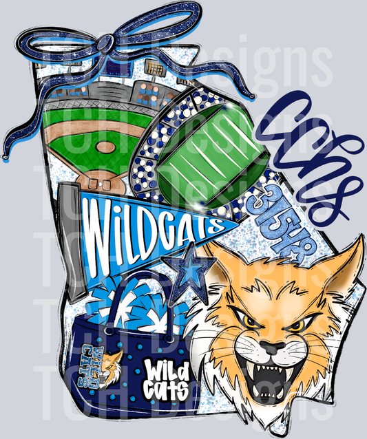 Camden County Wildcats