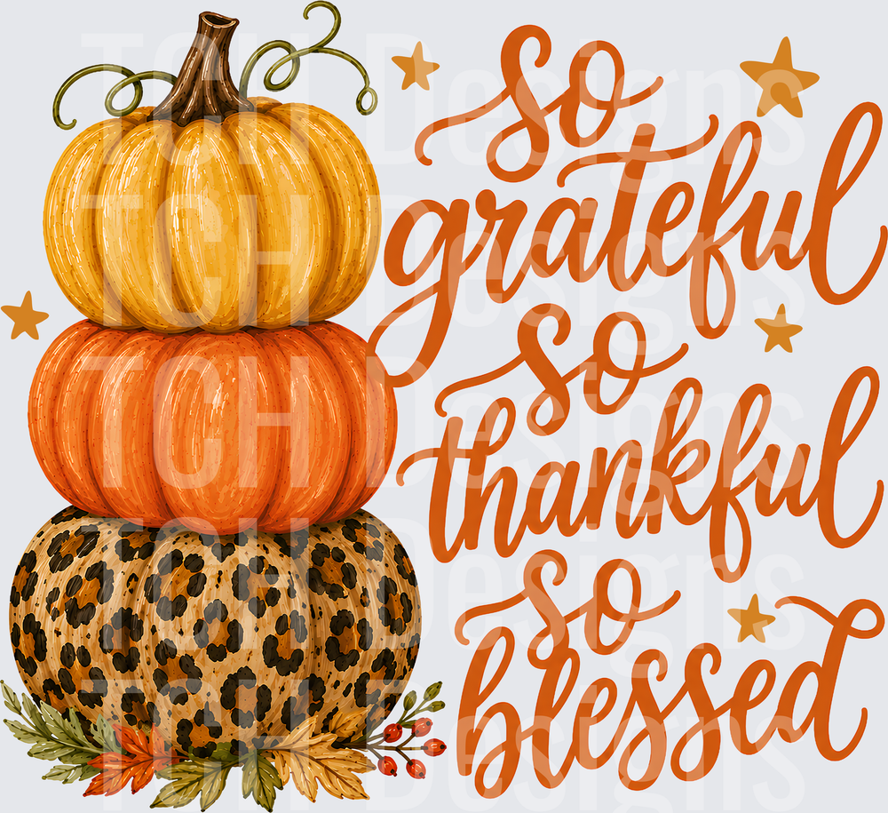 So Grateful So Thankful So Blessed