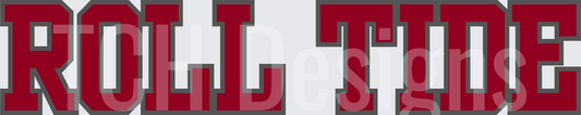 UPDATED TRANSPARENT SLEEVE-11