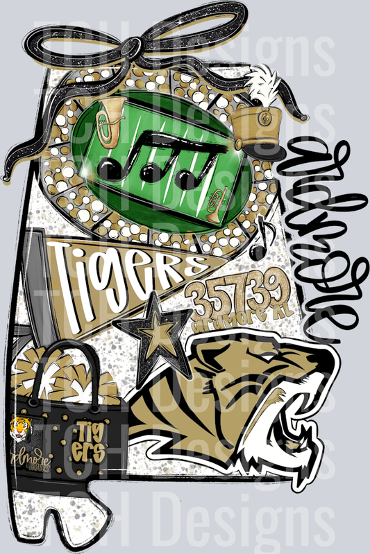 Ardmore Tigers Band
