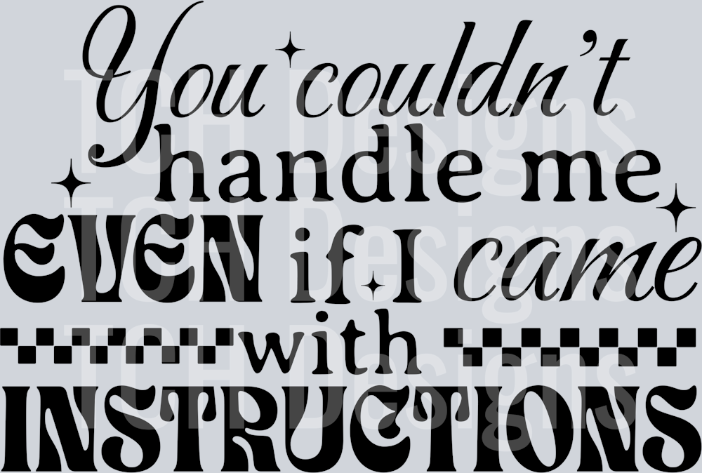 YOU COULDN'T HANDLE ME INSTRUCTIONS
