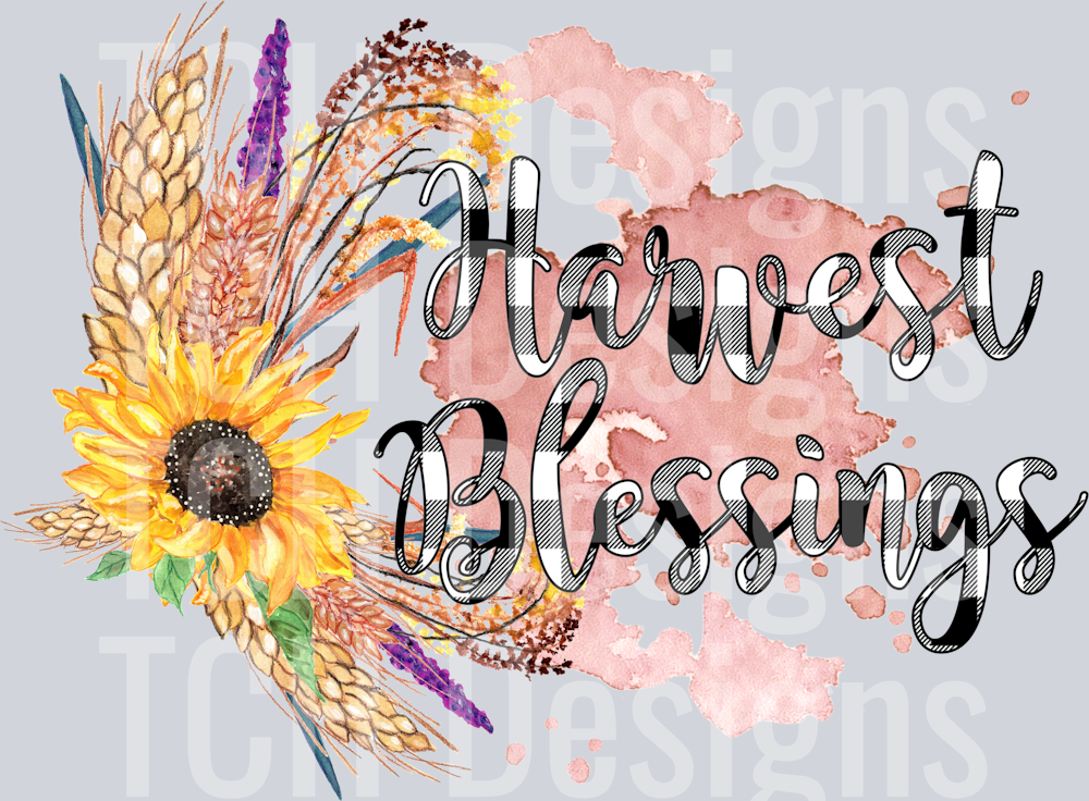 harvest blessings buff check w-mauve spalsh