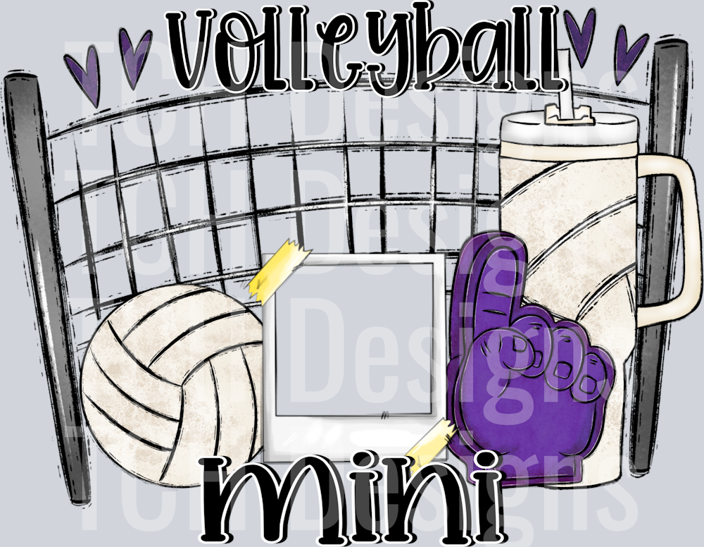 VolleyballMini