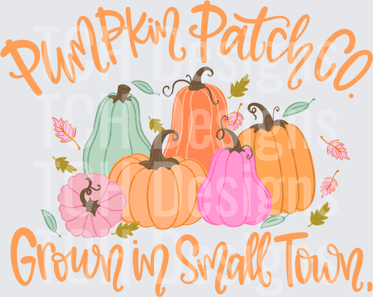 Pumpkin Patch Co Grown in Small Town Fall Pumpkins