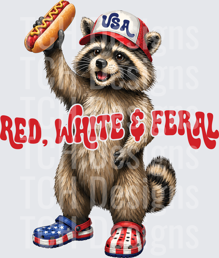 raccoon feral