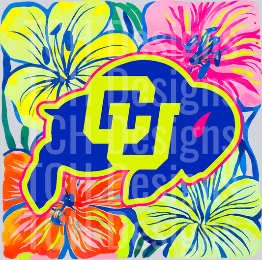 Colorado Buffaloes