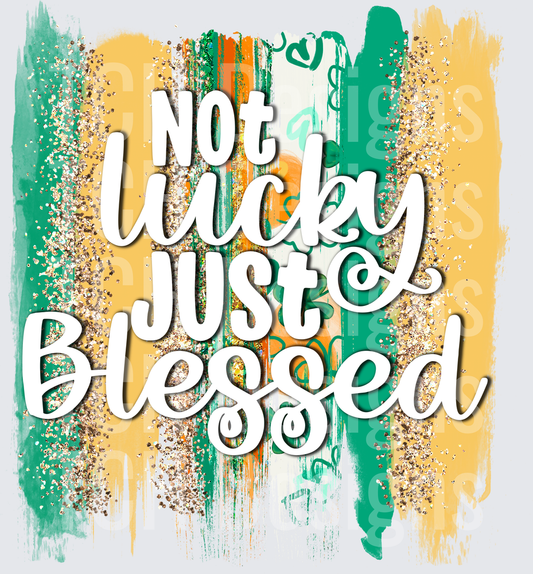 NOT LUCKY JUST BLESSED1