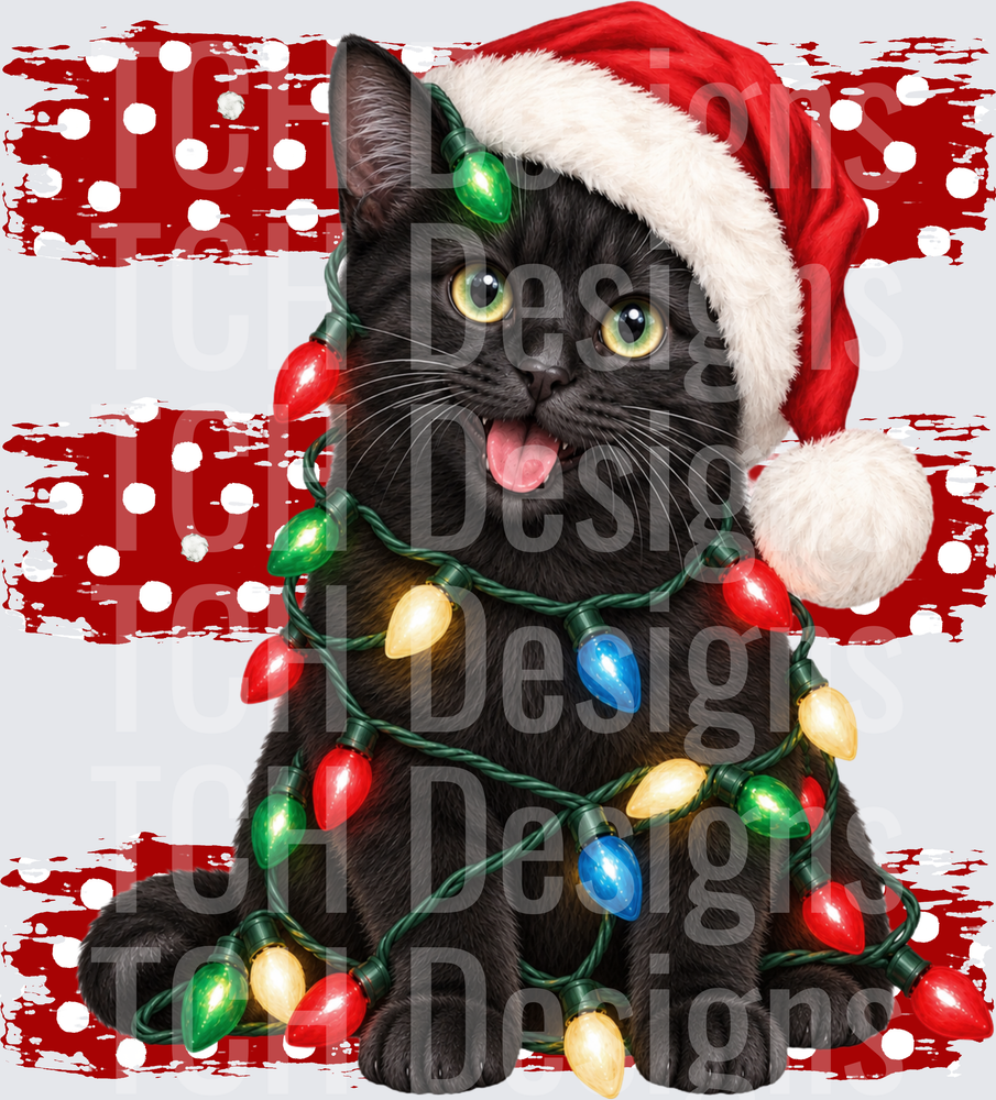 black cat christmas