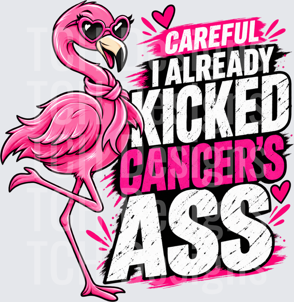 Careful I Already Kicked Cancer's Ass