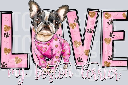 BostonTerrier