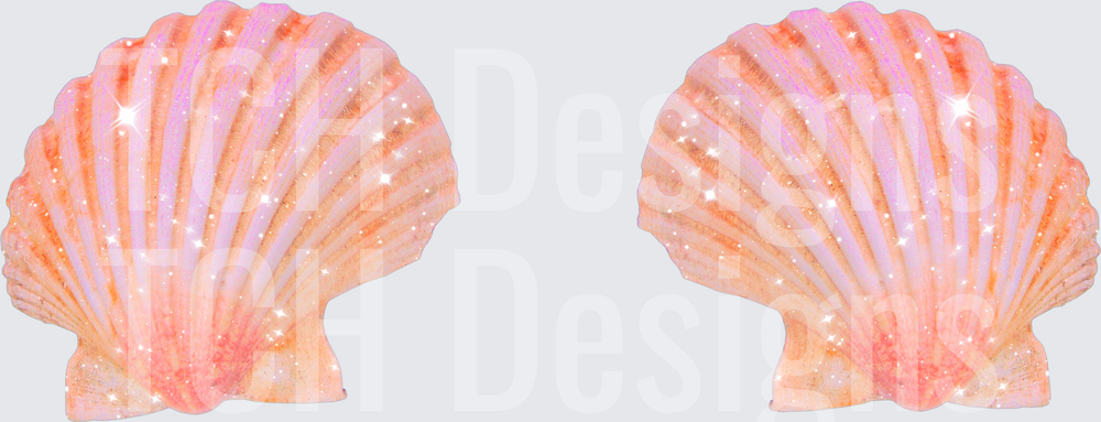 SEASHELLS