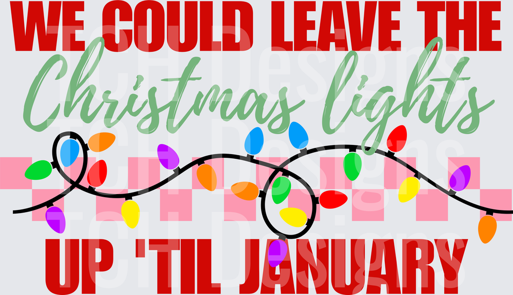 WE COULD LEAVE THE CHRISTMAS LIGHTS UP TIL JANUARY