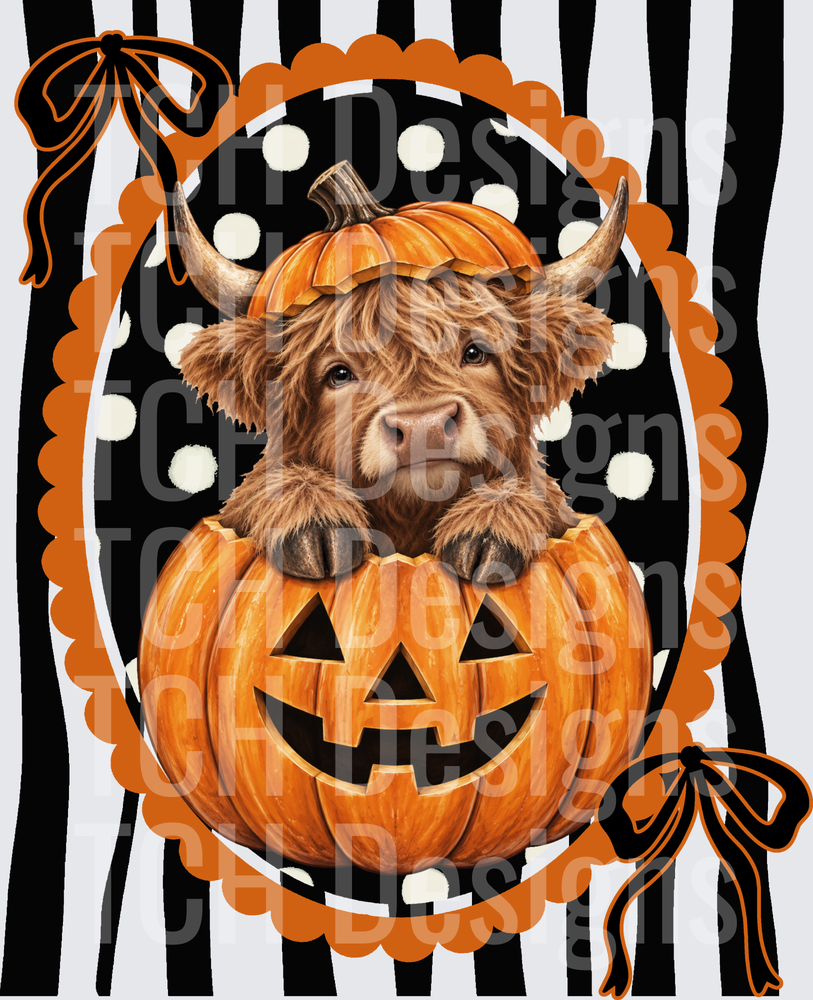 Cow Pumpkin Stripe