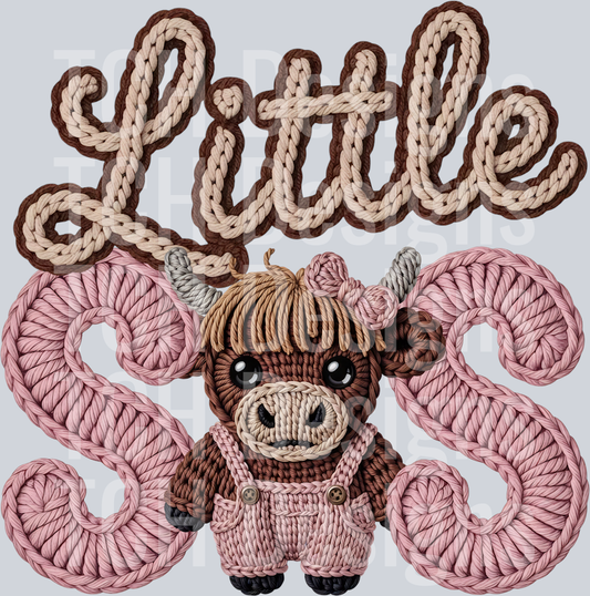 LittleSis