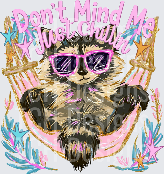 racCoon don’t mind me just chillin