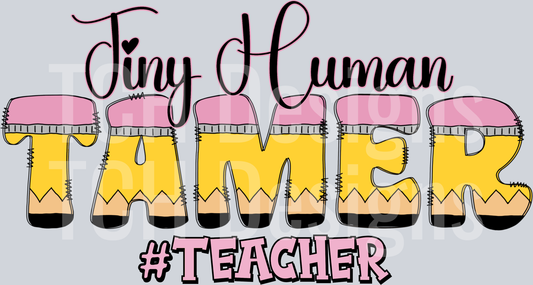 teacher