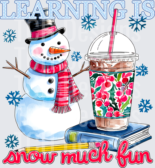 Learning Is Snow Much Fun