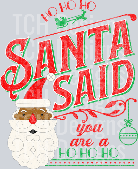 santa said you are a ho ho ho 2 HWDS