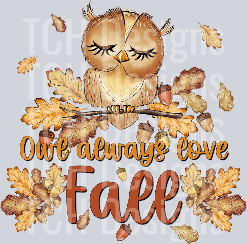 owl always love fall