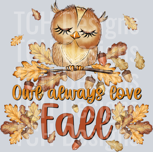 owl always love fall