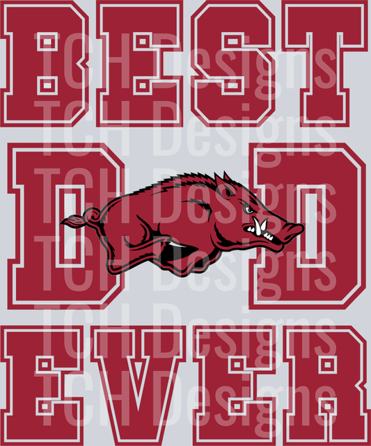 Best.Dad.Ever.Razorbacks