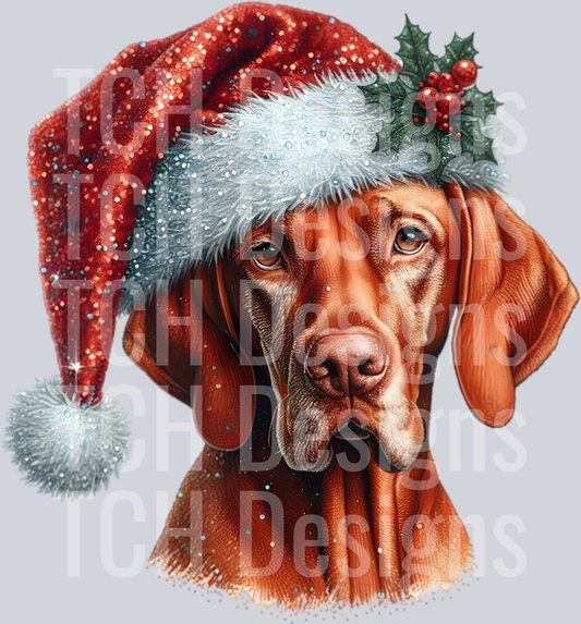 christmas vizsla
