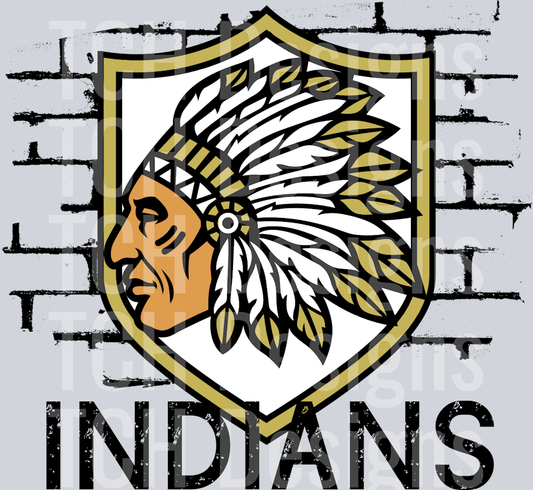 AUG6INDIANS
