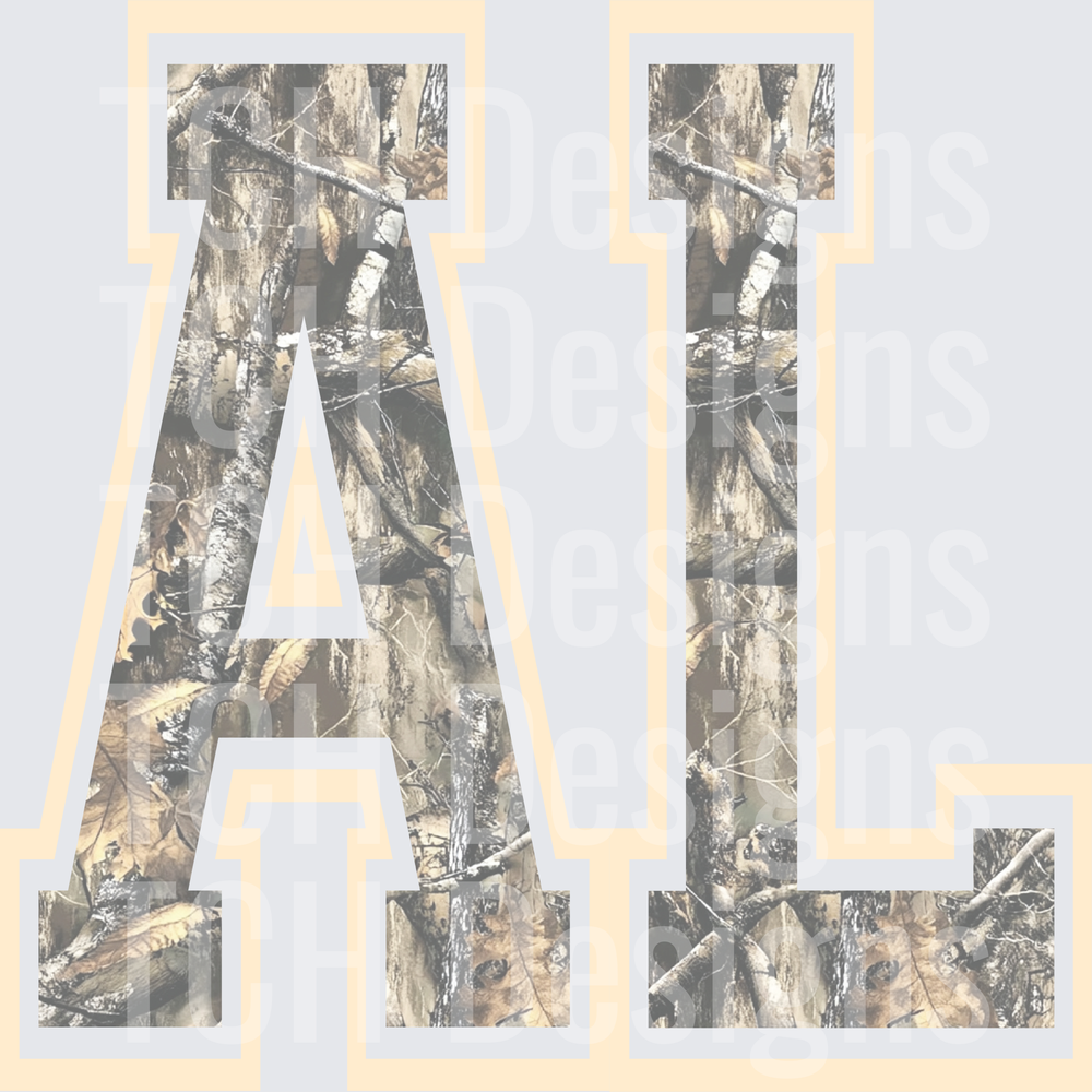 AL_CAMO_2