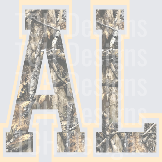 AL_CAMO_2