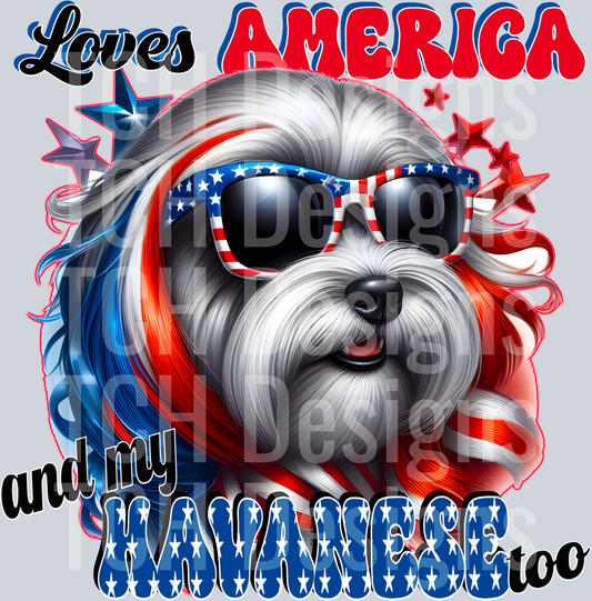 Havanese