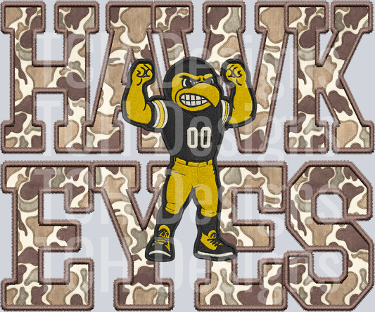 Iowa Hawkeyes