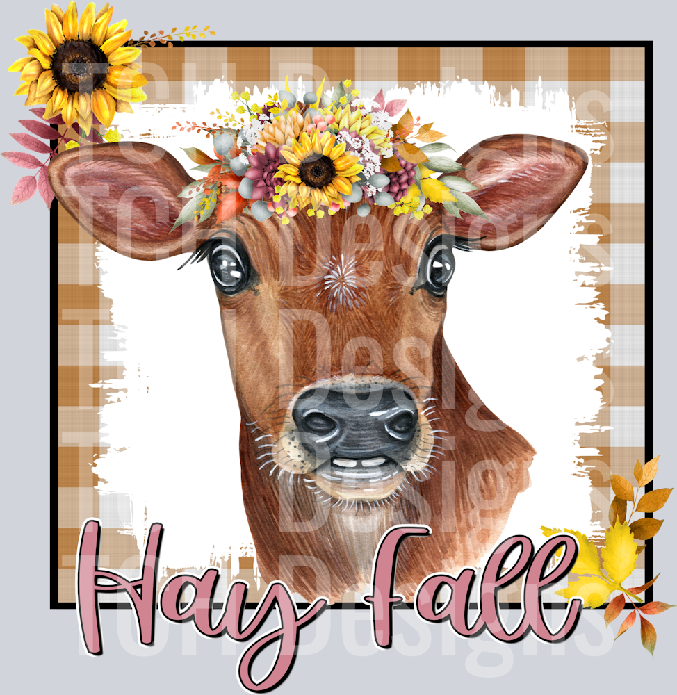 hay fall2