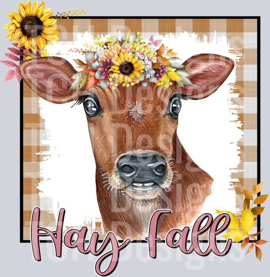 hay fall2