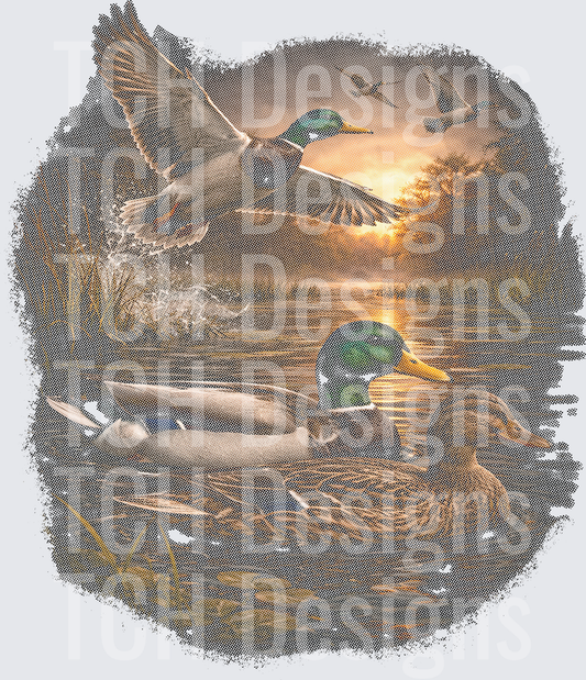 ducks halftone